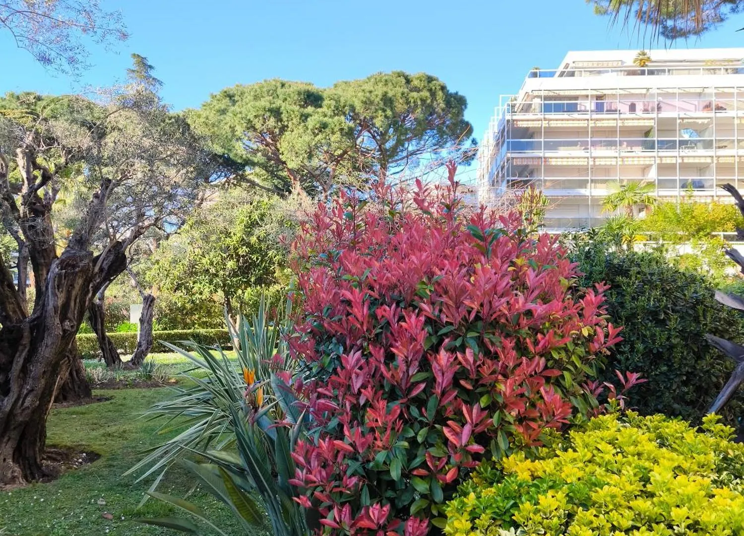 Ara 40M2 Classe Immense Terrasse 35 M2 Piscine Antibes Juan Parking France